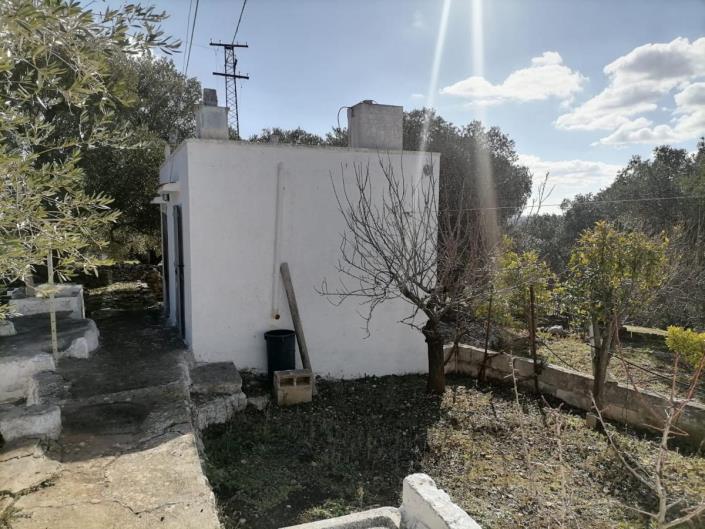 Image No.33-Trullo de 2 chambres à vendre à Ostuni