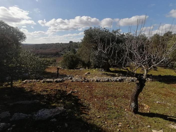 Image No.35-Trullo de 2 chambres à vendre à Ostuni