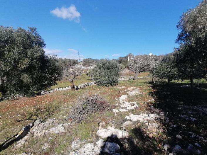 Image No.37-Trullo de 2 chambres à vendre à Ostuni