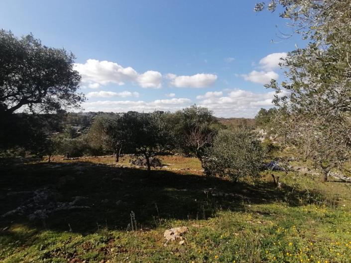 Image No.41-Trullo de 2 chambres à vendre à Ostuni