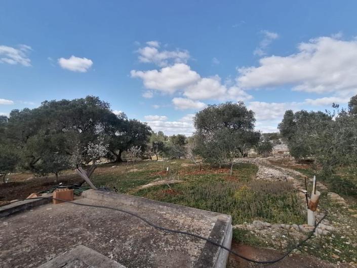 Image No.52-Trullo de 2 chambres à vendre à Ostuni