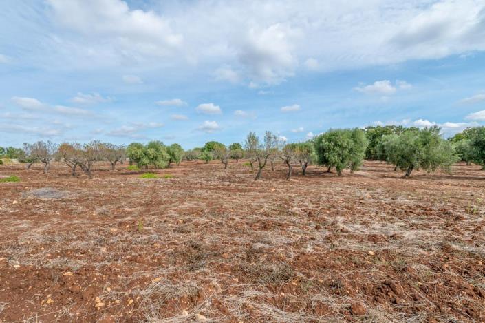 Image No.10-2 Bed Trullo for sale