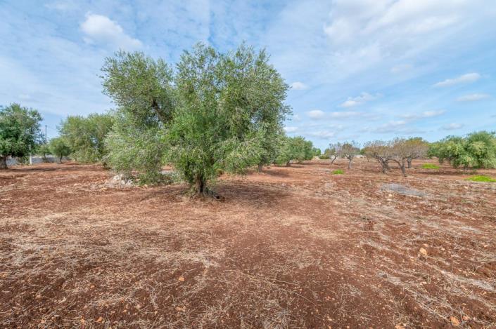 Image No.12-2 Bed Trullo for sale