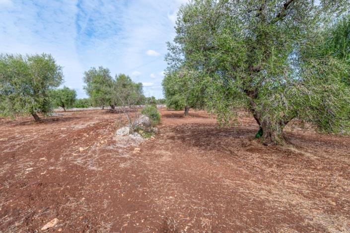 Image No.13-2 Bed Trullo for sale