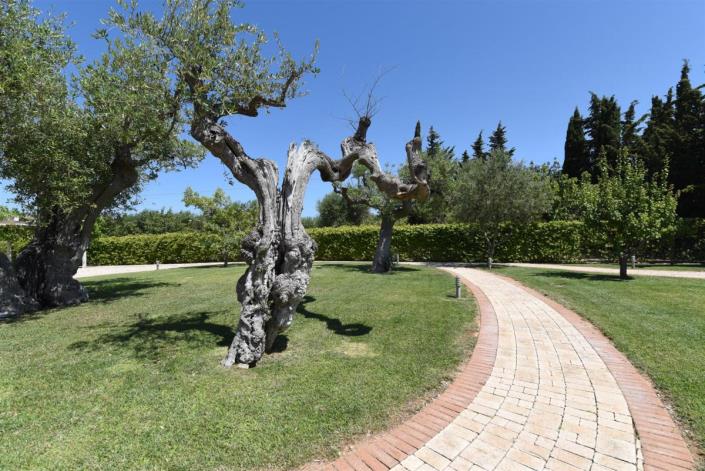 Image No.33-8 Bed Villa for sale