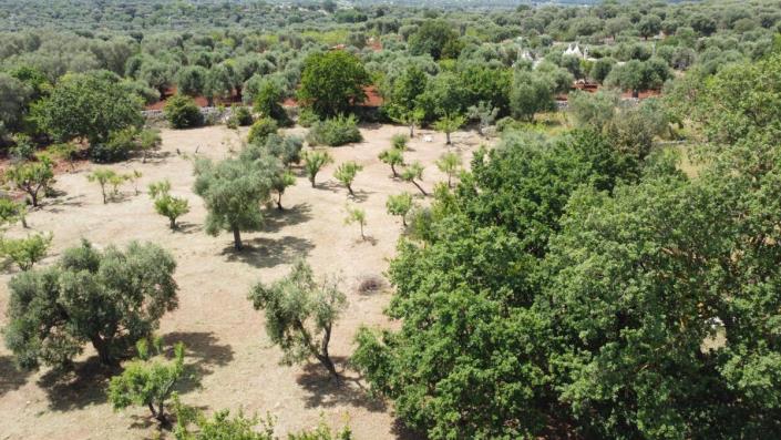 Image No.15-4 Bed Villa for sale