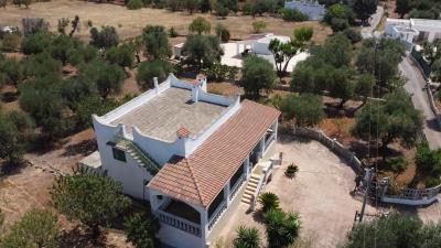 DJI_0599