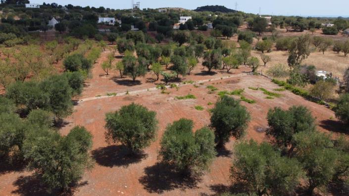 Image No.7-Villa de 3 chambres à vendre à Ostuni