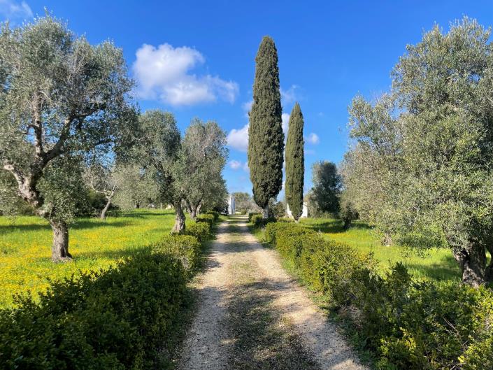 Image No.43-Maison / Villa de 2 chambres à vendre à Ostuni
