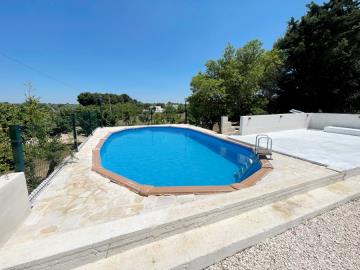 Trullo-Sunshineimage00034