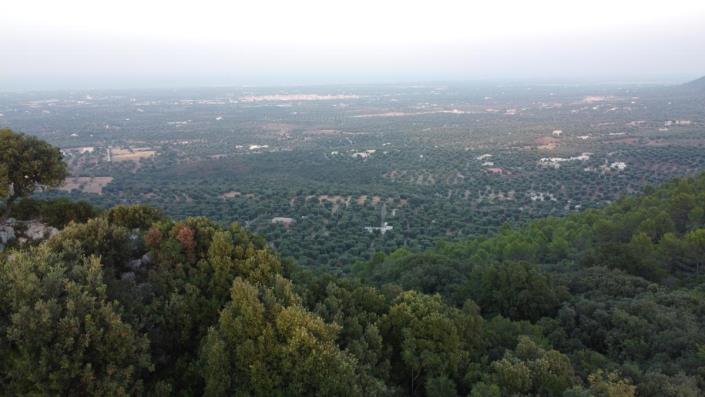 Image No.10-3 Bed Villa for sale