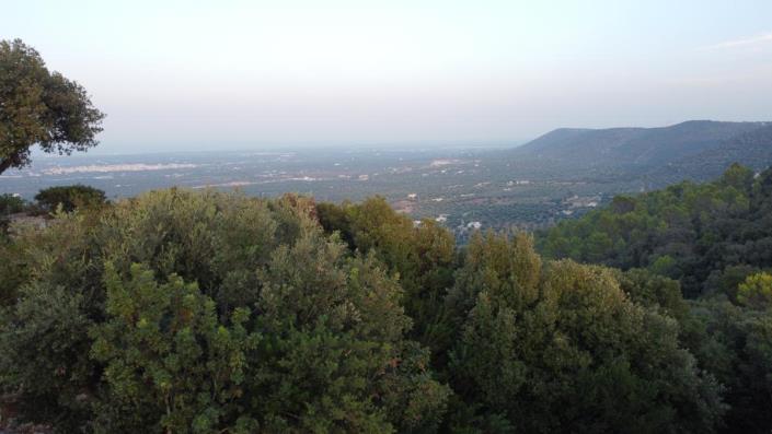 Image No.12-3 Bed Villa for sale