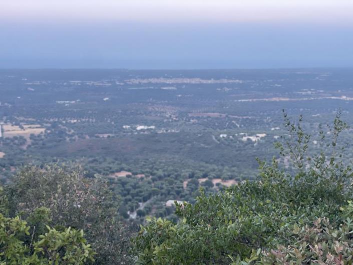 Image No.20-3 Bed Villa for sale