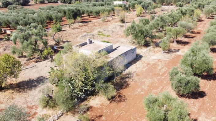Image No.15-Maison de campagne de 3 chambres à vendre à Ostuni