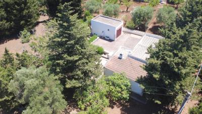 LA-TUA-IMMOBILIARE--VILLA-DEI-PINI-villa-dei-pini-2--3-