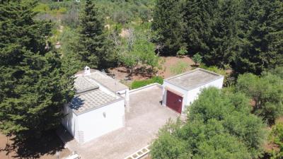 LA-TUA-IMMOBILIARE--VILLA-DEI-PINI-villa-dei-pini-2--5-