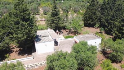 LA-TUA-IMMOBILIARE--VILLA-DEI-PINI-villa-dei-pini-2--6-