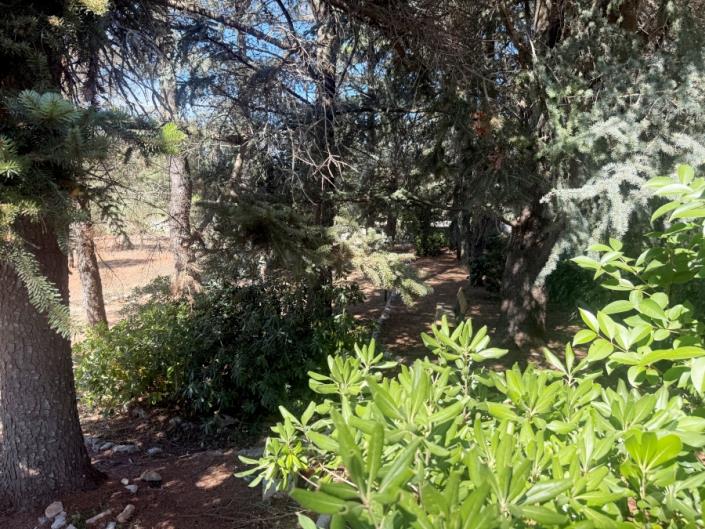 Image No.34-3 Bed Trullo for sale