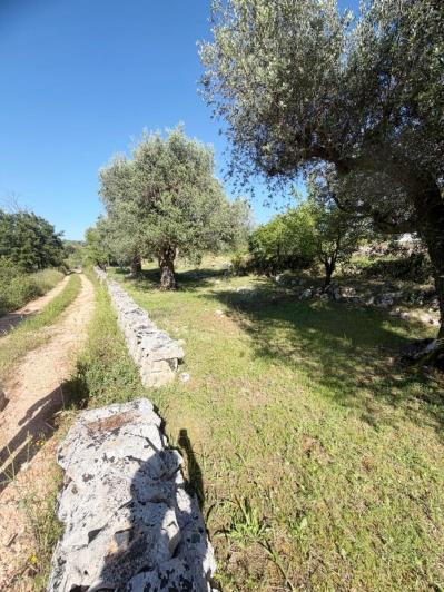Image No.16-4 Bed Villa for sale