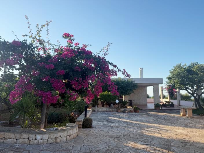 Image No.48-2 Bed Villa for sale