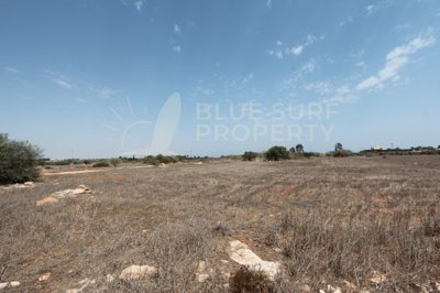 1 - Ayia Napa, Propriété
