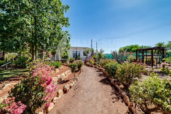 Image No.35-Villa de 3 chambres à vendre à Frenaros