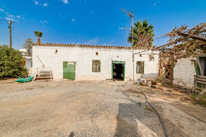 Image No.4-Bungalow de 1 chambre à vendre à Avgorou