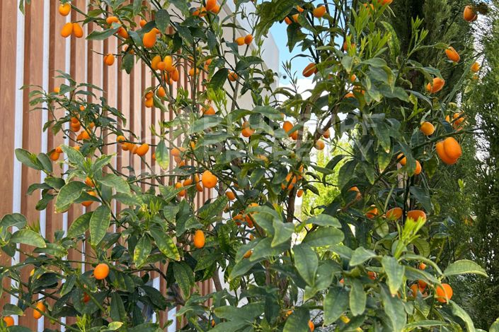 Image No.26-4 Bed Villa for sale