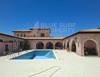 blues-004242-p-w-8f07d44d