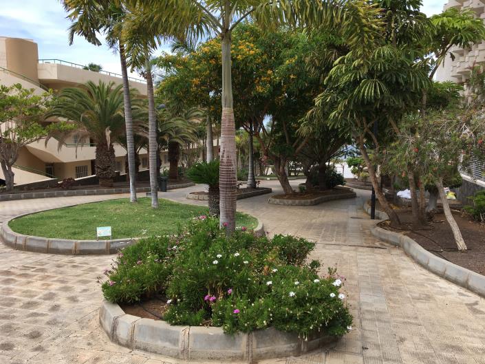 Image No.16-Appartement de 2 chambres à vendre à Los Cristianos