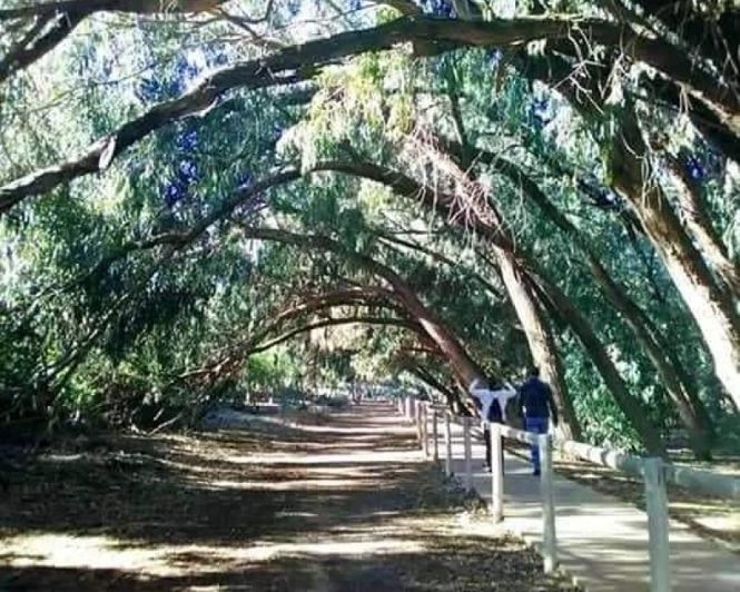 Image No.11-2 Bed Apartment for sale