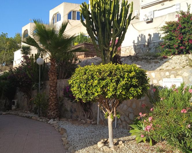 Image No.12-Appartement de 1 chambre à vendre à San Miguel de Salinas