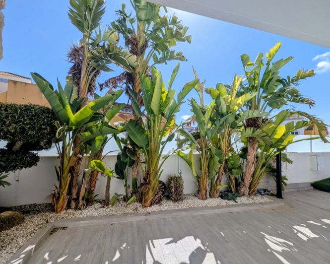 Image No.41-3 Bed Villa for sale