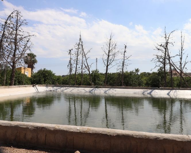 Image No.26-3 Bed Villa for sale