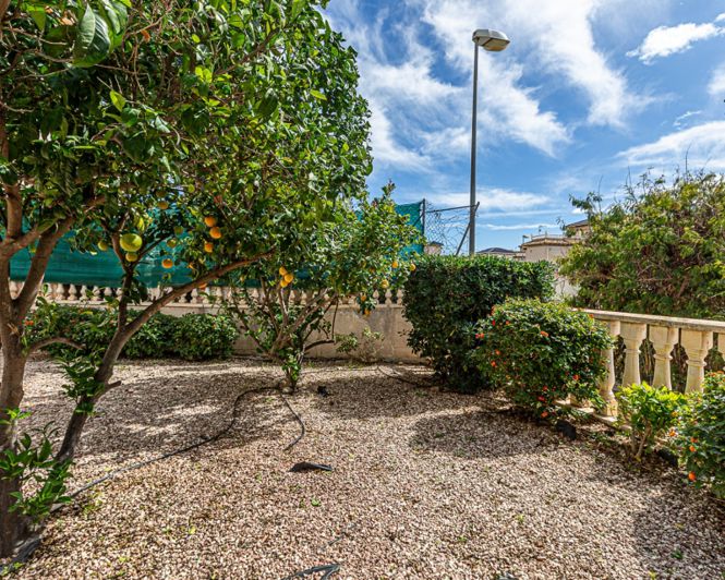 Image No.48-Villa de 3 chambres à vendre à Playa Flamenca