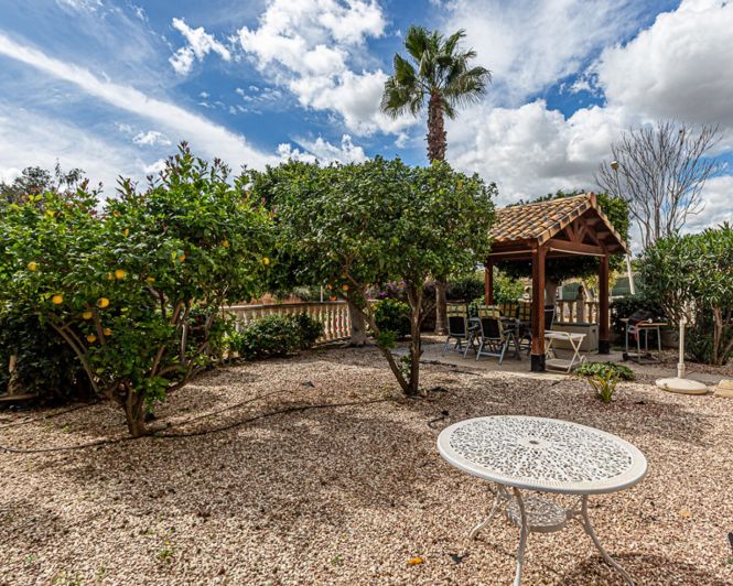 Image No.50-Villa de 3 chambres à vendre à Playa Flamenca