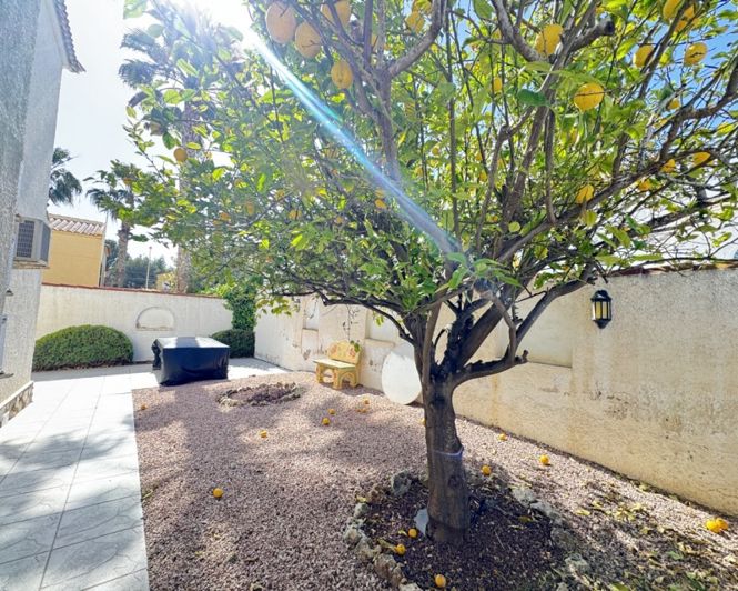 Image No.5-Appartement de 1 chambre à vendre à Algorfa