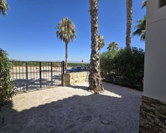 1175922lg