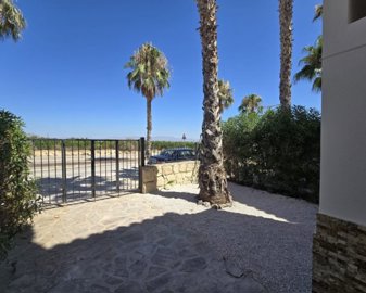 1175909lg
