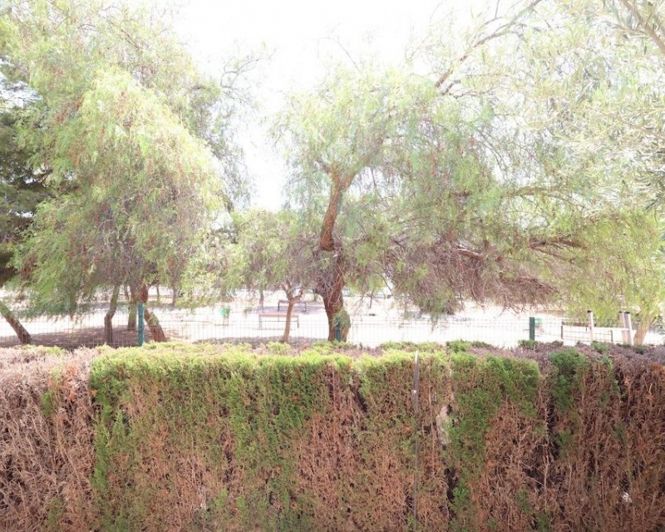 Image No.18-2 Bed Apartment for sale