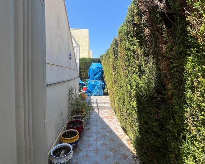 Image No.36-Villa de 3 chambres à vendre à Algorfa