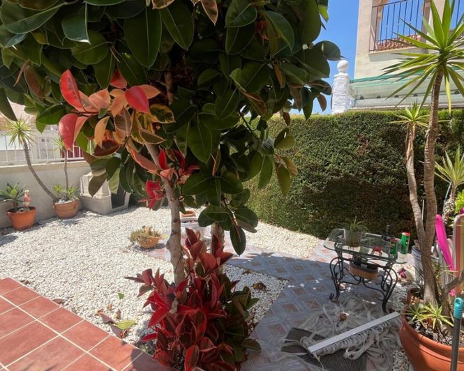 Image No.25-Villa de 3 chambres à vendre à Algorfa