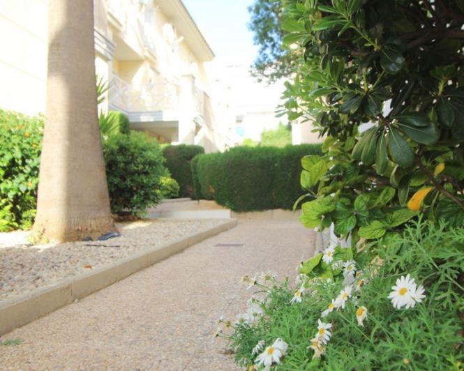 Image No.35-Appartement de 3 chambres à vendre à Torrevieja