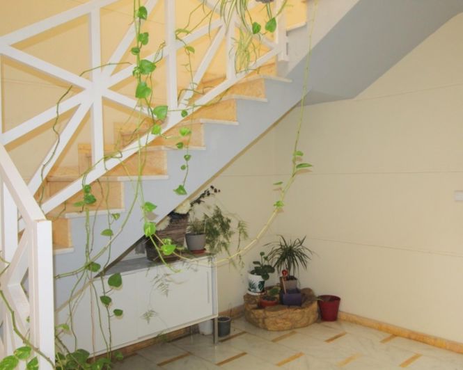 Image No.37-Appartement de 3 chambres à vendre à Torrevieja