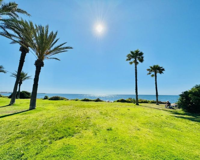 Image No.39-Appartement de 3 chambres à vendre à Torrevieja