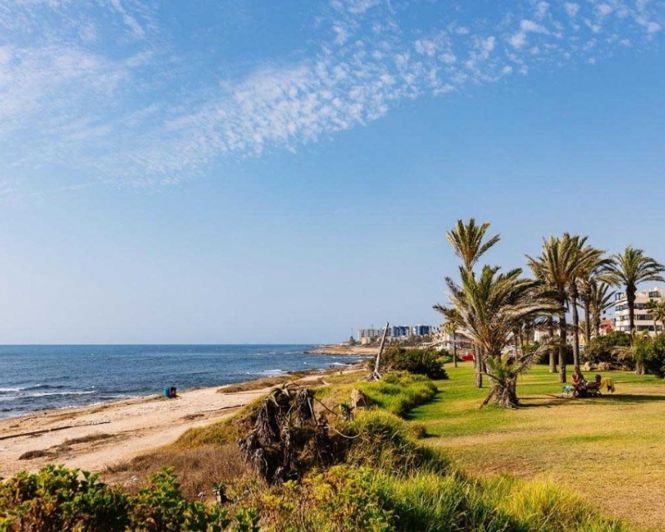 Image No.40-Appartement de 3 chambres à vendre à Torrevieja