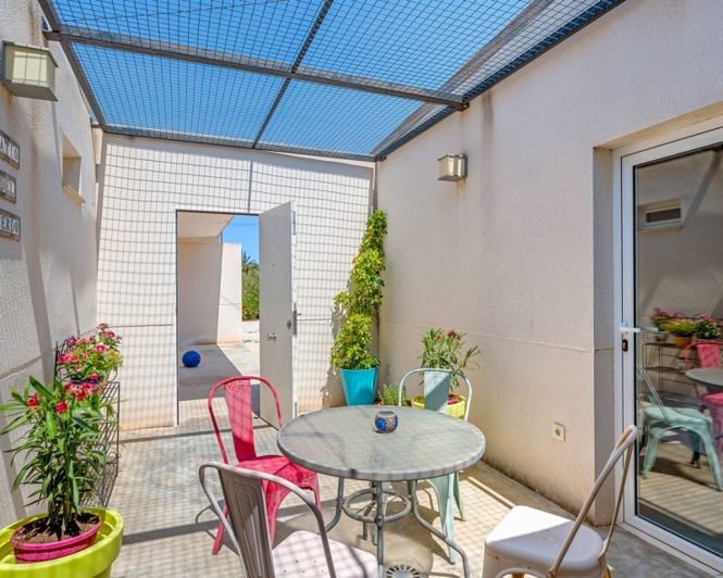 Image No.17-Propriété de pays de 5 chambres à vendre à Elche