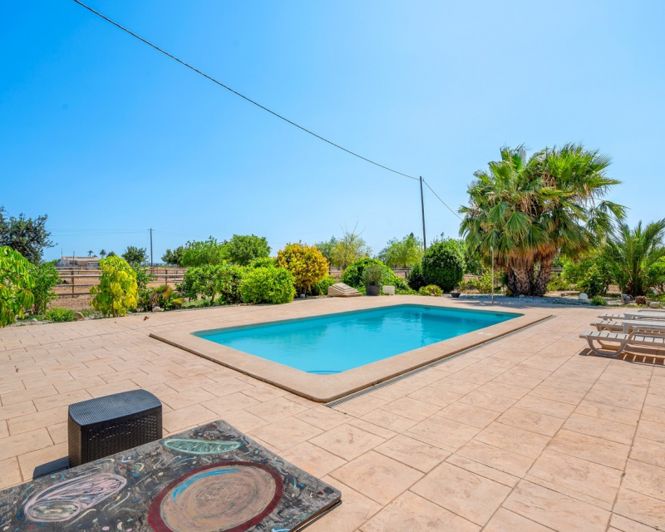 Image No.38-Propriété de pays de 5 chambres à vendre à Elche