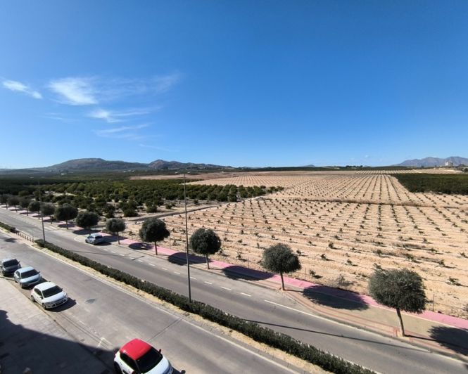 Image No.16-Appartement de 2 chambres à vendre à Algorfa