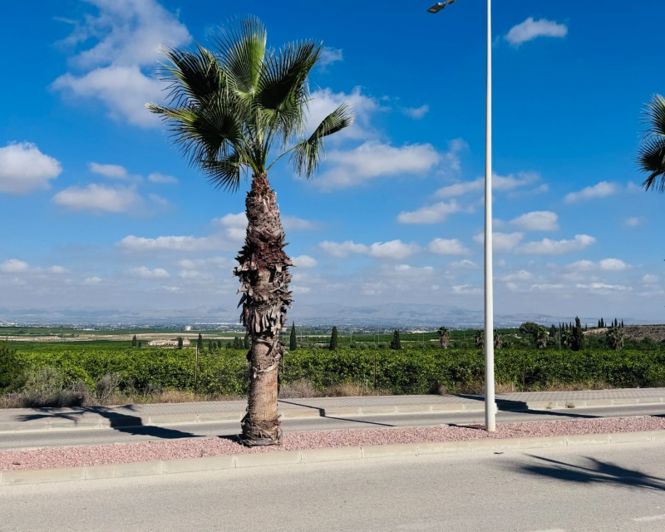 Image No.21-2 Bed Apartment for sale